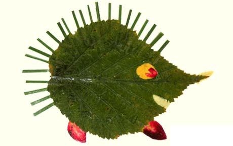 eziuku_grupe